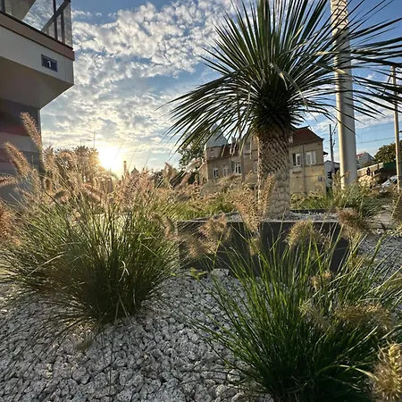 Plaza 41 By The Sea *