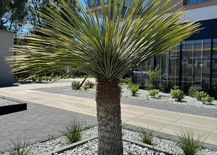 Plaza 41 By The Sea * Danzig